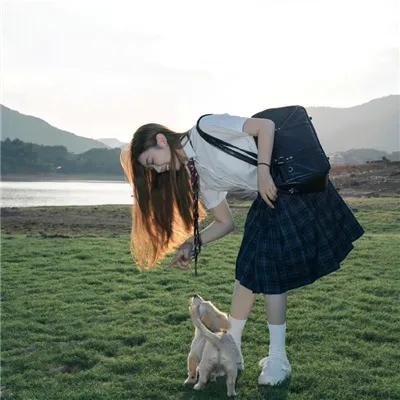 猪猪侠·一只老猪的逆袭